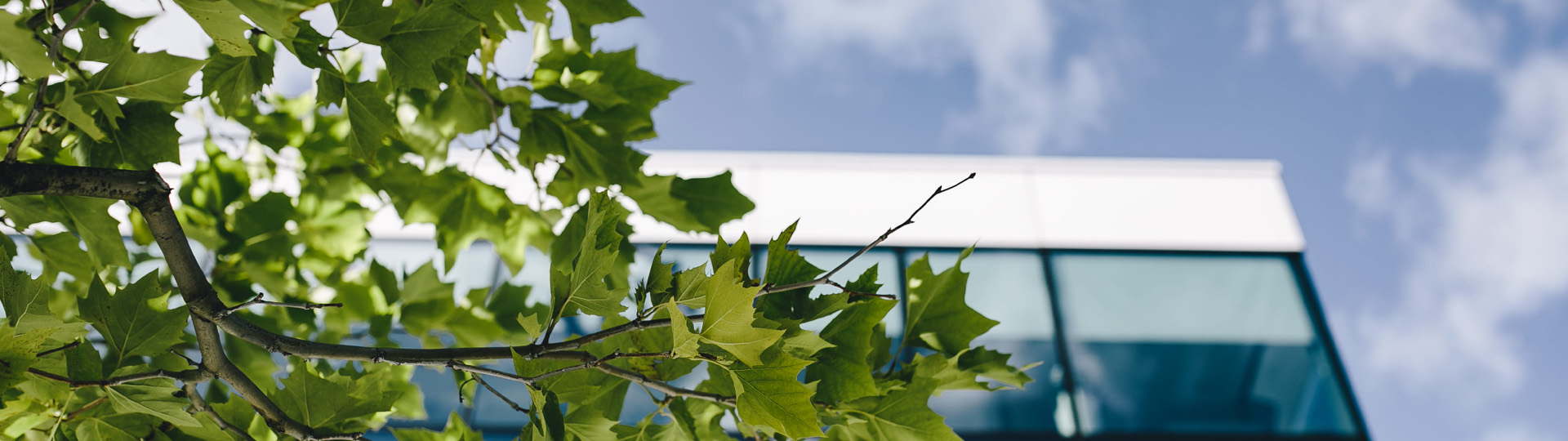 日韩人妻无码精品-专区