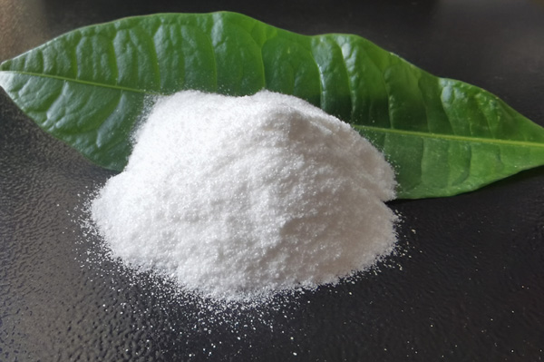 葡醛内酯 -肝泰乐